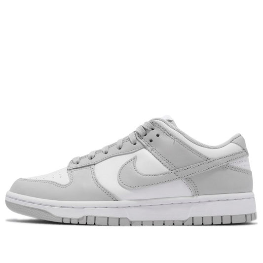 Nike Air Dunks - Gray